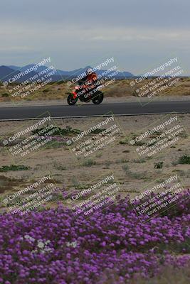 media/Jan-14-2023-SoCal Trackdays (Sat) [[497694156f]]/Turn 14 Exit Bloomig (145pm)/